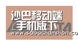 沙巴体育合作伙伴六