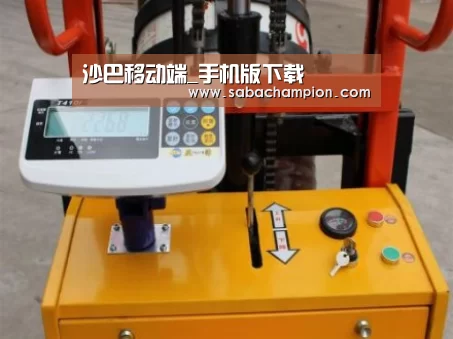 沙巴体育案例展示三