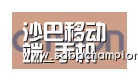 沙巴体育合作伙伴五