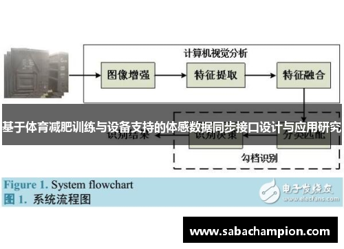 基于体育减肥训练与设备支持的体感数据同步接口设计与应用研究