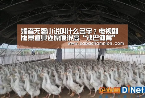 媚者无疆小说叫什么名字?电视剧版景道具还原度很高“沙巴体育”(图3) 沙巴体育app
