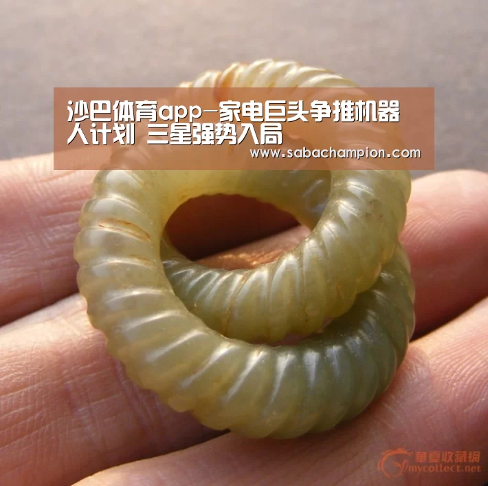 沙巴体育app-家电巨头争推机器人计划 三星强势入局(图1) 沙巴体育app