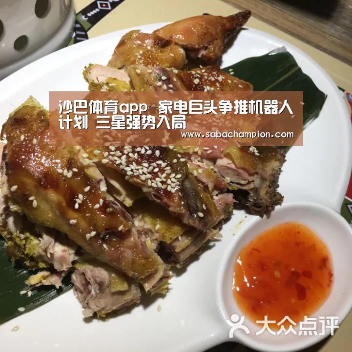 沙巴体育app-家电巨头争推机器人计划 三星强势入局(图4) 沙巴体育入口