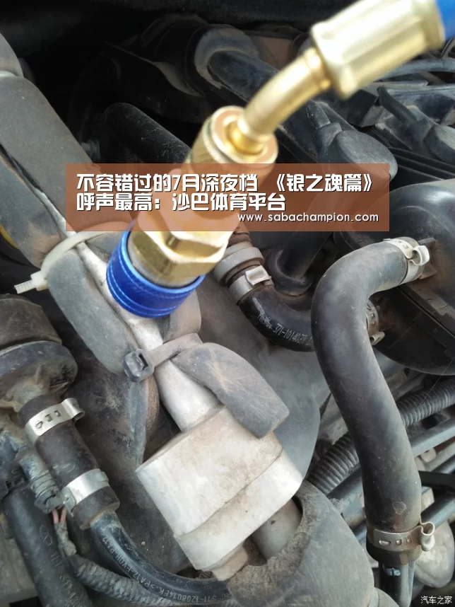 不容错过的7月深夜档 《银之魂篇》呼声最高:沙巴体育平台(图3) 沙巴体育