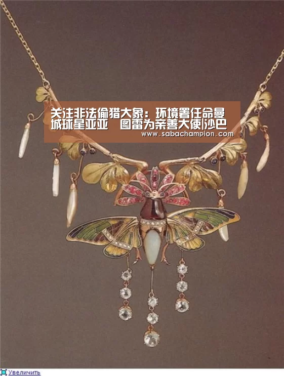 沙巴体育平台